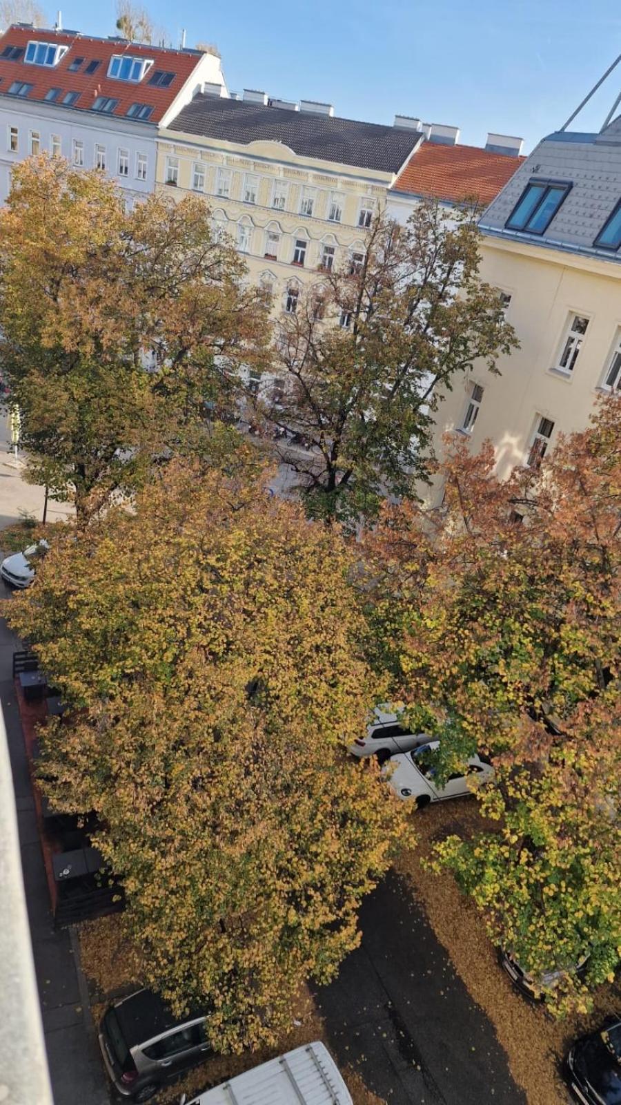 Appartement Messe-wien Luminous Flat Vienne